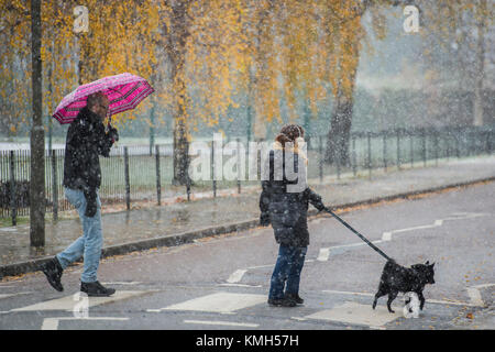 Clapham Common, London. Déc 10, 2017. Les chiens doivent encore être parcourus dans la neige commence à tomber de nouveau. Plus tôt la neige légère est tombée sur Clapham Common et puis alterne avec le grésil. Londres, 10 déc 2017. Crédit : Guy Bell/Alamy Live News Banque D'Images