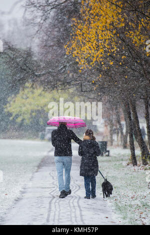 Clapham Common, London. Déc 10, 2017. Les chiens doivent encore être parcourus dans la neige commence à tomber de nouveau. Plus tôt la neige légère est tombée sur Clapham Common et puis alterne avec le grésil. Londres, 10 déc 2017. Crédit : Guy Bell/Alamy Live News Banque D'Images