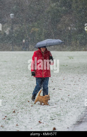 Clapham Common, London. Déc 10, 2017. Les chiens doivent encore être parcourus dans la neige commence à tomber de nouveau. Plus tôt la neige légère est tombée sur Clapham Common et puis alterne avec le grésil. Londres, 10 déc 2017. Crédit : Guy Bell/Alamy Live News Banque D'Images