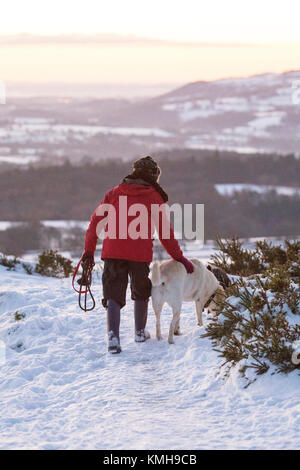 Seule femme dog walker marcher avec un chien dans la neige épaisse dans les contreforts du Pays de Galles au cours de Caroline tempête qui a laissé plusieurs pouces de neige dans la région, Halkyn, Flintshire, Pays de Galles, Royaume-Uni Banque D'Images