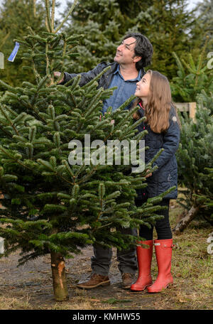 Les familles bénéficiant d'une journée en choisissant leur arbre de Noël à Hagley les arbres de Noël dans le Worcestershire. Banque D'Images