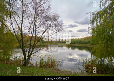 Vue d'automne sur l'étang dans le district de sviblovo à Moscou avec ostankinskaya tour de télévision sur l'horizon Banque D'Images