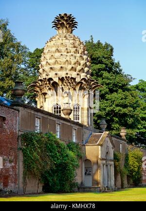 L'arrêt Dunmore Pineapple dans Dunmore Park, Airth, Région du Centre, de l'Écosse. Construit en 1761 comme maison d'été et jardin serre folly Banque D'Images