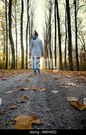 Vue arrière d'un adolescent girl walking in a road limited par des arbres au coucher du soleil, le Parco di Monza, Italie Banque D'Images