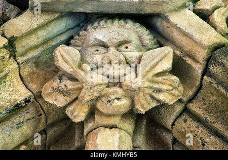 Pierre sculptée homme vert détail du plafond en 15e C. Chapter House à l'abbaye de Glenluce, Dumfries et Galloway, Écosse Royaume-Uni Région Banque D'Images