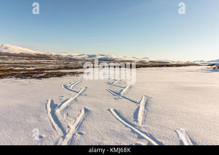 Deux pistes de ski dans les montagnes, l'hiver à Dovre, Norvège. Banque D'Images