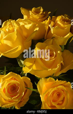 Bouquet de roses jaunes sur fond sombre Banque D'Images