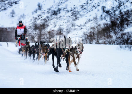 SARDIERES VANOISE, FRANCE - 18 janvier 2016 - LA GRANDE ODYSSEE le plus dur de la course de chiens en savoie Mont-Blanc, Vit Kolator, musher, Vanoise, Alpes Banque D'Images