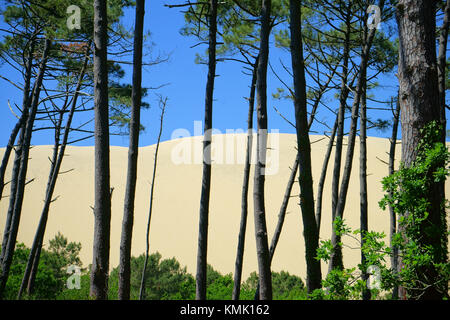 Dune du Pilat, Département Gironde, France Banque D'Images