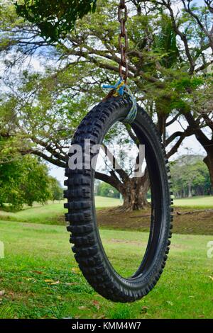 Pneu moto swing childs suspendue à un arbre dans un parc forestier, Townsville, Queensland, Australie Banque D'Images