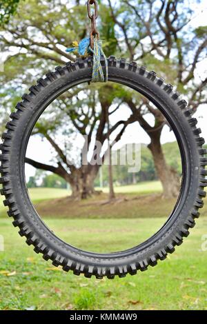 Pneu moto swing childs suspendue à un arbre dans un parc forestier, Townsville, Queensland, Australie Banque D'Images