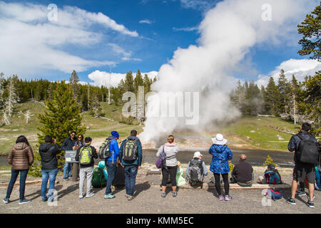 Les touristes se rassemblent pour surveiller le Riverside geyser en éruption au parc national de Yellowstone geyser basin supérieur, le 27 mai 2017 près de canyon village, Wyoming. (Photo by neal herbert via planetpix) Banque D'Images