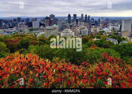 Montréal, Canada, 12 octobre 2017.Vue de Montréal à l'automne du Belvédère Kondiaronk. Credit:Mario Beauregard/Alamy Live News Banque D'Images