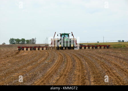 La plantation de coton AVEC UN AIR CASE IH 24 RANGS DU SEMOIR EN COTON SANS TRAVAIL Banque D'Images