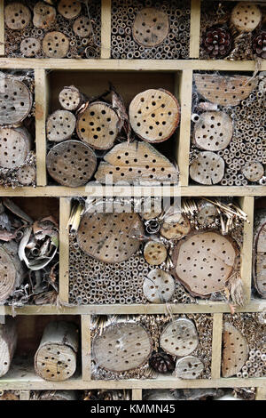 Hôtel de bug dans un cadre en bois pour les insectes à se reproduire et en hiver avec des trous percés dans les billes, les tiges d'herbe et les cannes de bambou. Banque D'Images