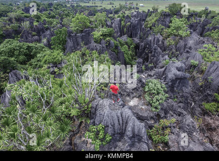 La forêt de rock en rammang-rammang près de maros makassar du sud de Sulawesi - Indonésie. Banque D'Images
