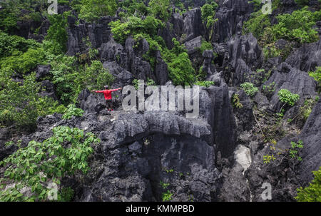 La forêt de rock en rammang-rammang près de maros makassar du sud de Sulawesi - Indonésie. Banque D'Images