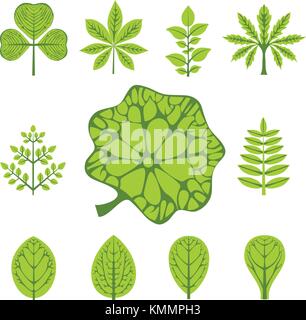 Différents types de feuilles, vector illustration Illustration de Vecteur