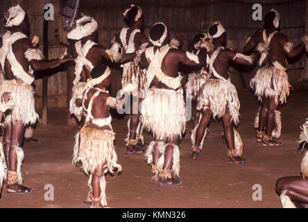 Danse zoulou traditionnel Banque D'Images