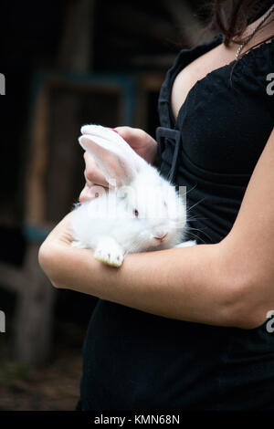 Lapin dans les mains de la jeune fille Banque D'Images