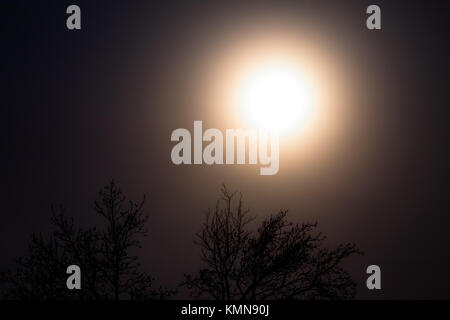 Ce n'est pas le soleil mais la super pleine lune le matin du 4 décembre 2017, il y avait un léger brouillard au-dessus d'une forêt voisine qui fait d'un effet. Banque D'Images