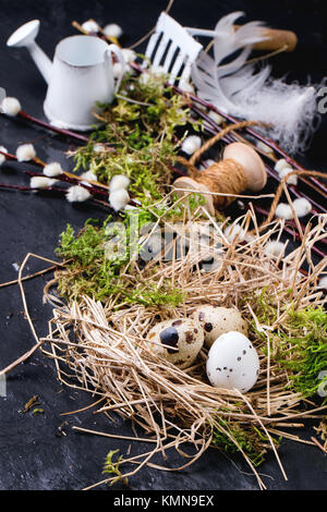 Composition de Pâques avec des oeufs de cailles au nid, des branches de saule en fleurs et accessoires de jardinage et d'outils sur fond noir humide Banque D'Images