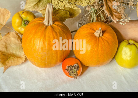 Citrouilles Orange avec coing jaune et kaki mûr, près du vase avec des branches sèches d'Aspen et de fleurs sauvages sur nappe blanche Banque D'Images