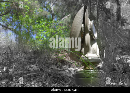 Masque à gaz de l'armée dans les bois. Photo incolore partiellement Banque D'Images
