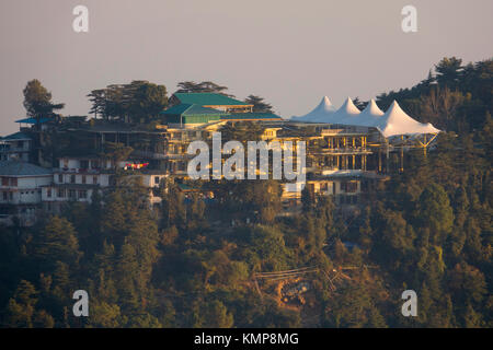 Sa Sainteté le Dalaï Lama Temple complexe et résidence à Mcleod Ganj, Himachal Pradesh, Inde Banque D'Images