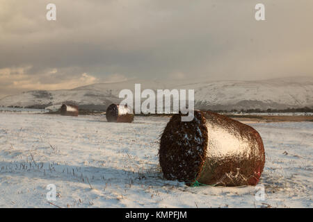 Brecon, Wales. Le 08 mai 2017. Météo britannique. Chutes de neige couvre le parc national de Brecon Beacons. Credit : Ed Marshall/Alamy Live News Banque D'Images