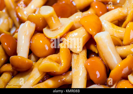 Champignons marinés close up Banque D'Images