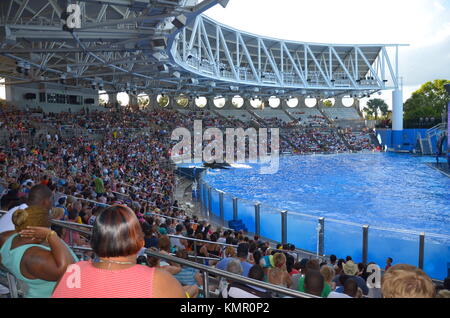 Shamu Stadium à Sea World, Orlando, Floride, USA Banque D'Images