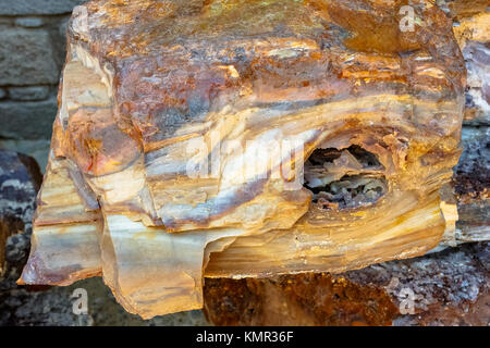 Un tronc d'arbre coloré fossilisés du géoparc de l'UNESCO 'forêt pétrifiée de Sigri' sur l'île de Lesbos en Grèce. Banque D'Images