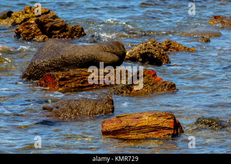 Les troncs des arbres colorés fossilisés dans la mer depuis le parc naturel UNESCO 'forêt pétrifiée de Sigri' sur l'île de Lesbos en Grèce Banque D'Images