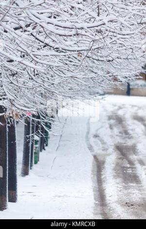 AVENUE BORDÉE D COUVERTE PAR LA NEIGE À ROME. Banque D'Images