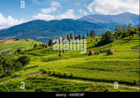 Meules sur herbacé savoir sur fine journée d'été. une campagne magnifique paysage avec crête de montagne dans la distance Banque D'Images