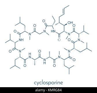 Ciclosporin (cyclosporine) immunosuppresseur molécule. utilisé pour prévenir le rejet d'organes transplantés et pour un certain nombre d'autres utilisations. skeletal Illustration de Vecteur