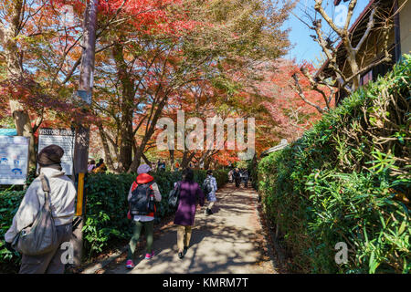 Kyoto, 24 nov. : Belle couleur d'automne de Jojakko-Ji le Nov 24, 2017 à Kyoto, Japon Banque D'Images