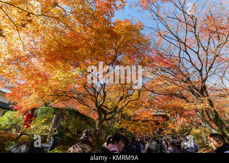 Kyoto, 24 nov. : Belle couleur d'automne de Jojakko-Ji le Nov 24, 2017 à Kyoto, Japon Banque D'Images