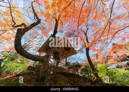 Kyoto, 24 nov. : Belle couleur d'automne de Jojakko-Ji le Nov 24, 2017 à Kyoto, Japon Banque D'Images