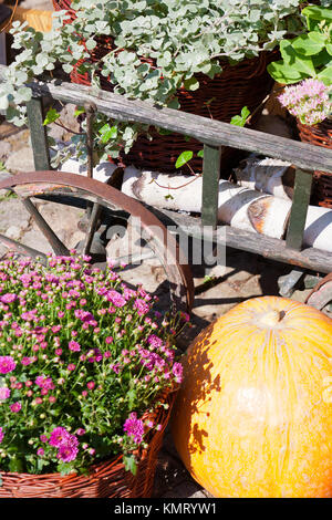 Décoration d'automne avec un chariot rack - old czech village Banque D'Images