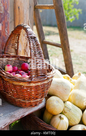 L'agriculture tchèque et de l'agriculture - les pommes d'automne dans le jardin Banque D'Images