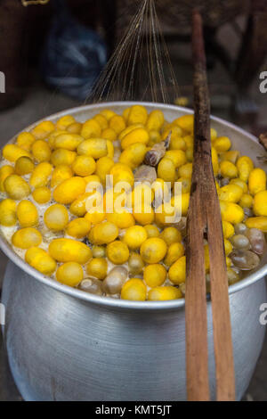 Bangkok, Thaïlande. Les cocons de soie brute thaïlandaise d'ébullition. Banque D'Images