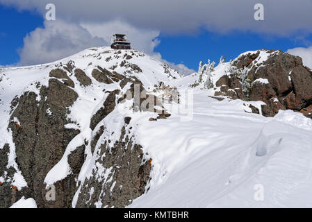 Scène de la Mt Washburn trail, le Parc National de Yellowstone, couvertes de neige Banque D'Images