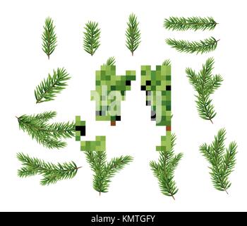 Jeu de collecte de branches de sapin réalistes pour arbre de Noël, le pin. vector illustration Illustration de Vecteur
