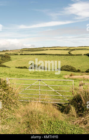 Les terres agricoles près de meneau, Cornwall, UK. Banque D'Images