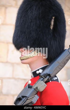 Une vue générale de l'atmosphère de Queens Guard au château de Windsor le 7 avril 2011 à Windsor, près de Londres, Angleterre. Photo de Barry King/Alamy Stock Photo Banque D'Images
