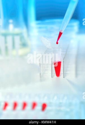 Arrière-plan scientifique ou médicale. Chargement de l'échantillon liquide rouge avec une pipette automatique, gros plan, copy space Banque D'Images