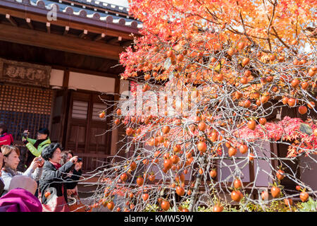 Kyoto, 24 nov. : Belle couleur d'automne de Jojakko-Ji le Nov 24, 2017 à Kyoto, Japon Banque D'Images