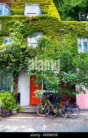 Charmante maison envahie par la vigne et deux vélos à l'extérieur, Doughty Mews, London, UK Banque D'Images